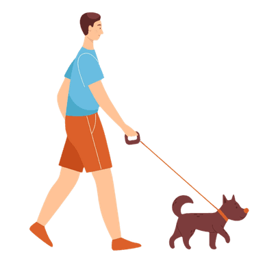Dog Walking Service
